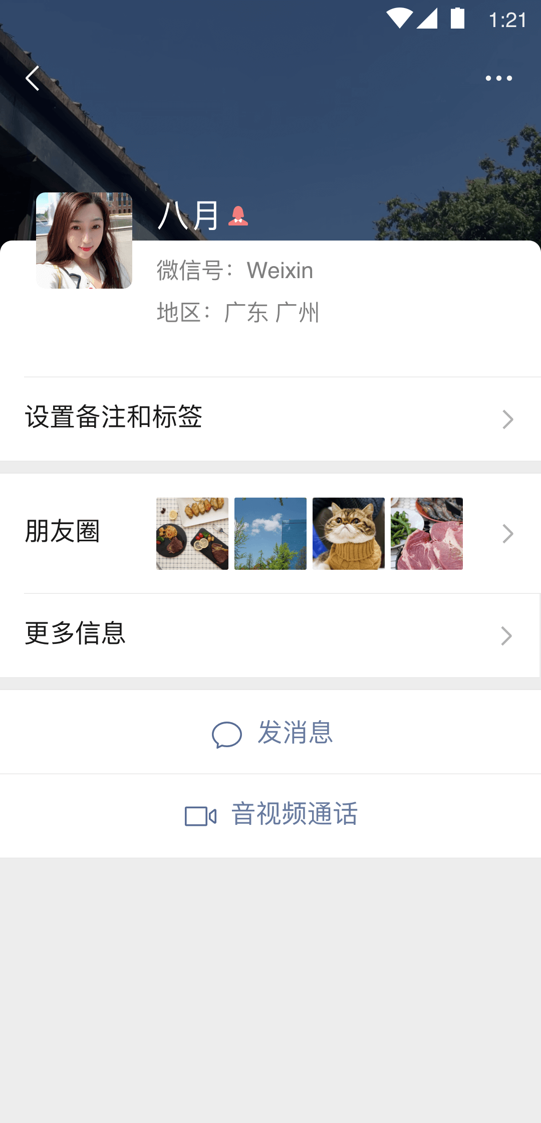 大长腿动物正确答案截图